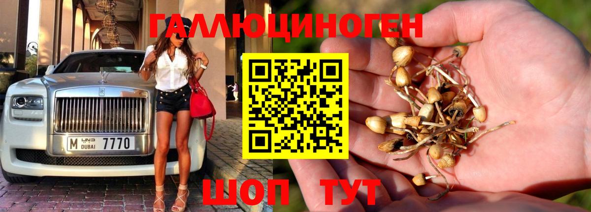 Галлюциногенные грибы мухоморы Татарск
