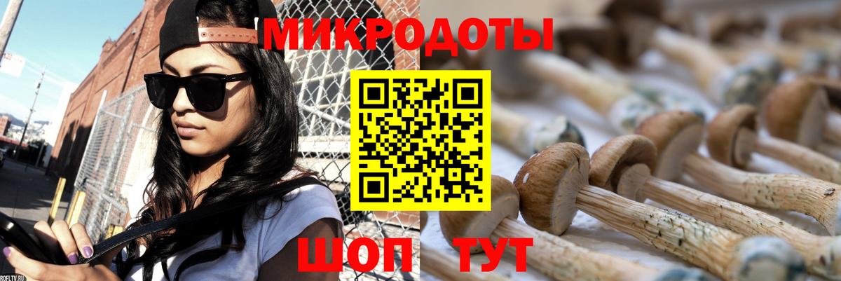 Татарск  Псилоцибиновые грибы Psilocybe  Вход с VPN 